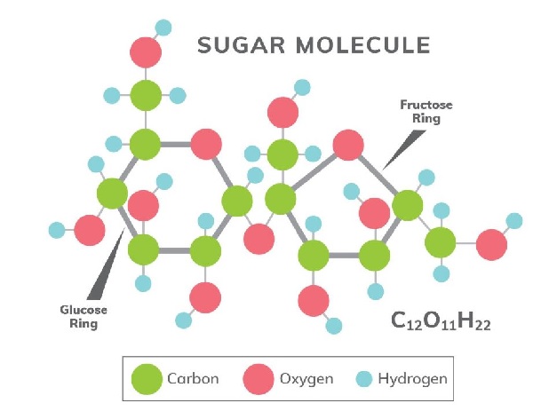 Sugar Molecule