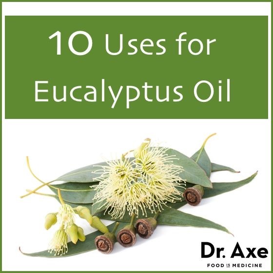 10 Uses for Eucalyptus Oil