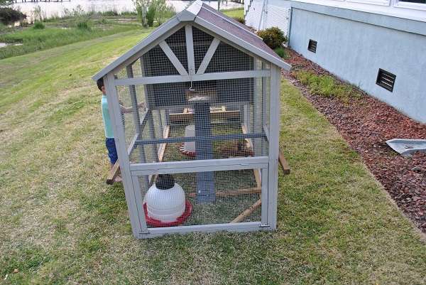 Chicken Coop - Front