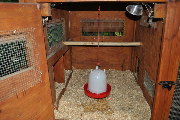 Stationary Chicken  Coop - Inside
