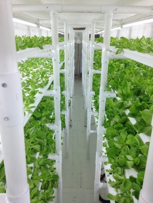 Hydroponics In A Shipping Container